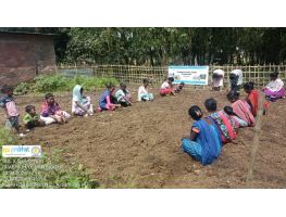 Nutrition Programme